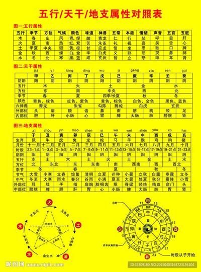 深度解析四柱预测：从理论到实践