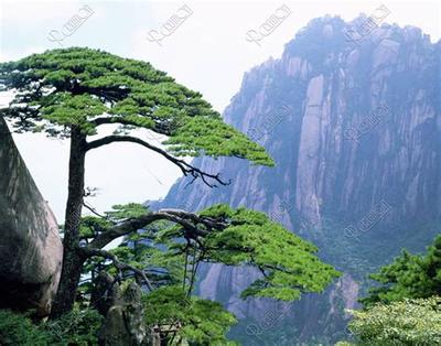 2026年三月黄道吉日查询