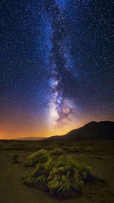 2025年最受欢迎的龙宝宝名字TOP5